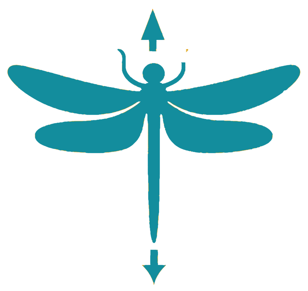 libelle icon petrol