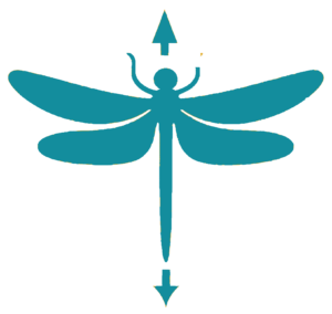 libelle icon petrol