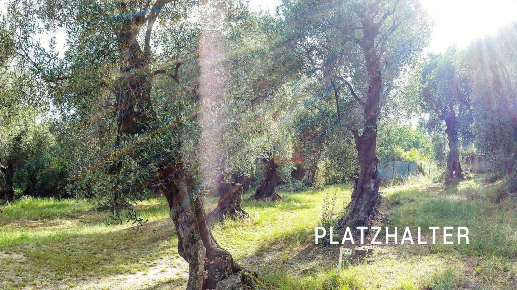 platzhalter 1920 1080