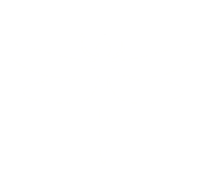 libelle icon weiss